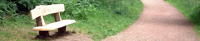 Bench Seat  Sherwood Forest
