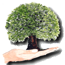 FoSF Logo