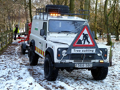Tree Surgeons at work December 2010