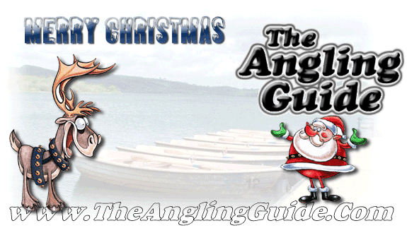 Christmas website page