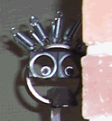 Frailloop