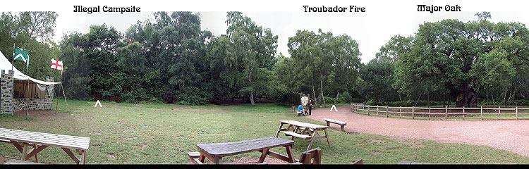 Panoramic Image Major Oak